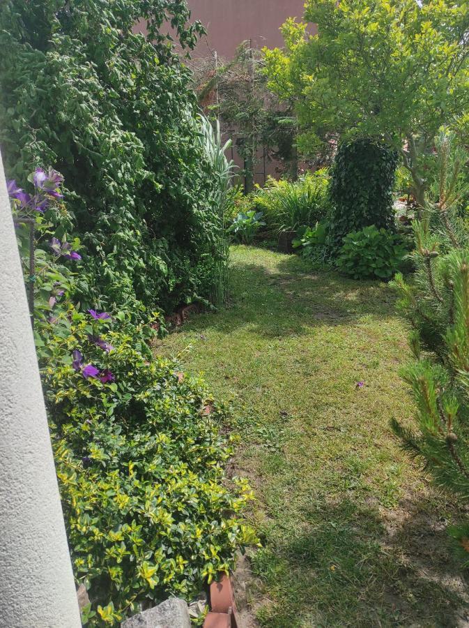 Pokoje Goscinne Cuma Łeba Exteriör bild